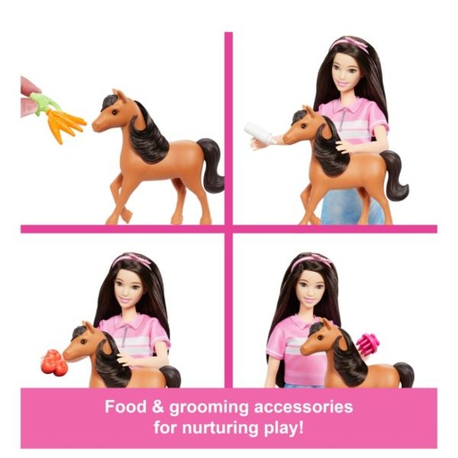 [MTHXJ40] Muñeca Barbie Renee Set de Cuidado de Caballito 3a+