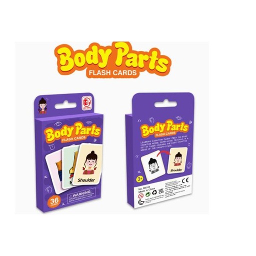 [WW88703] Juego de Aprendizaje de Partes del Cuerpo  36 Cartas 3a+ 8453141)