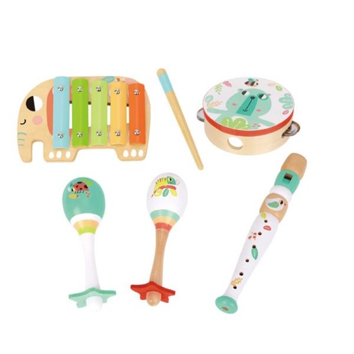 [TKTF567] Set de Instrumentos Musicales 18m+