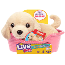 [BT26611] Little Live Pets Cachorro con Cama y 20 Sonidos Surt/2 5a+